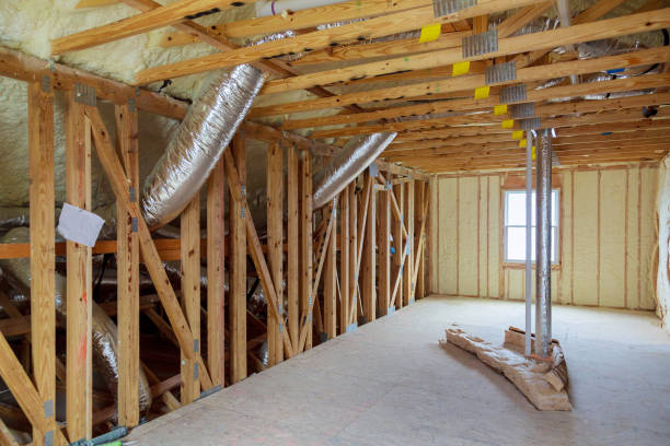 Best Insulation Removal  in Hazlehurst, GA
