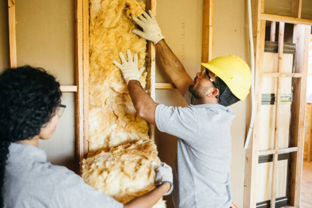 Trusted Hazlehurst, GA Insulation Contractor Experts
