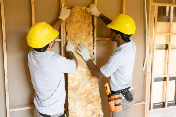 Best Insulation Inspection Services  in Hazlehurst, GA