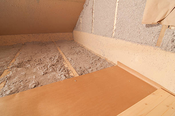 Best Garage Insulation Installation  in Hazlehurst, GA